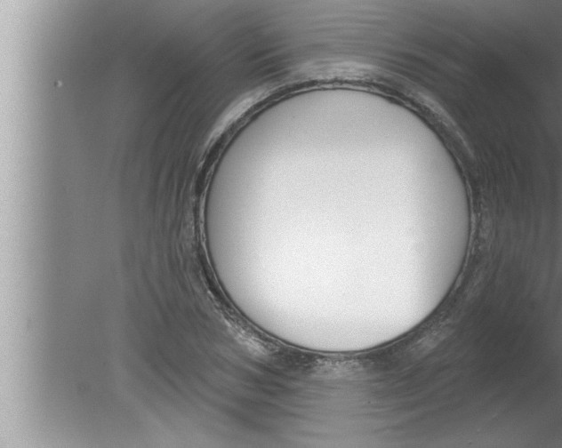 X0000080130978200612302032