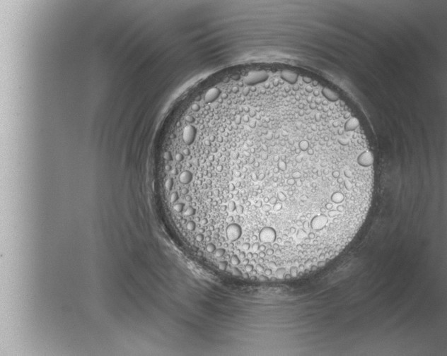 X0000080130979200612302031