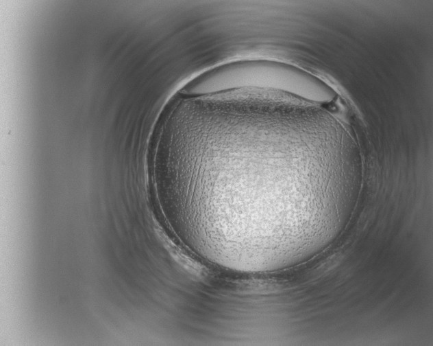 X0000080130980200612302031