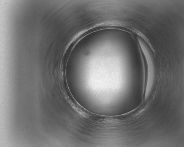 X0000080130981200612302031