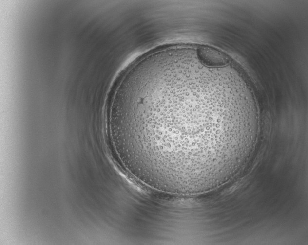 X0000080130982200612302031