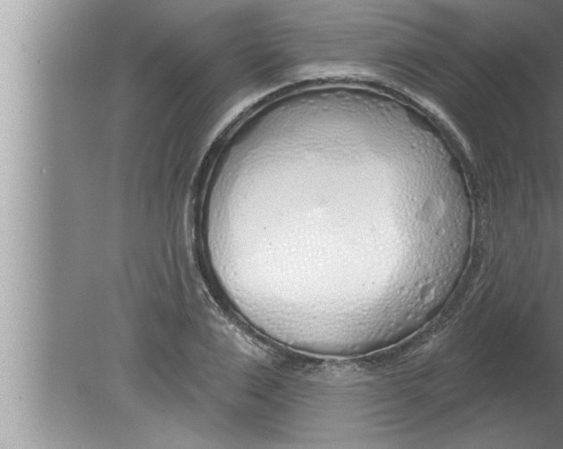 X0000080130983200612302031