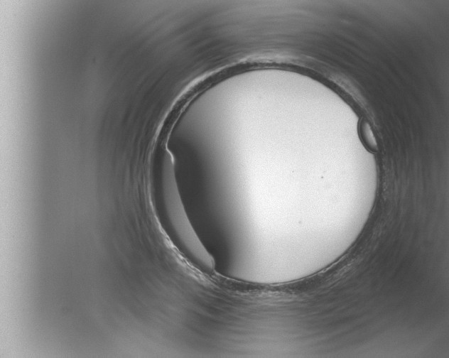 X0000080130984200612302031