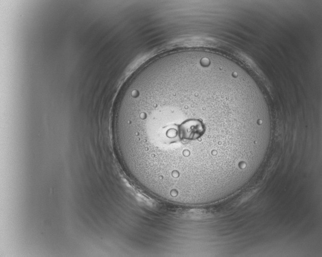 X0000080130986200612302031