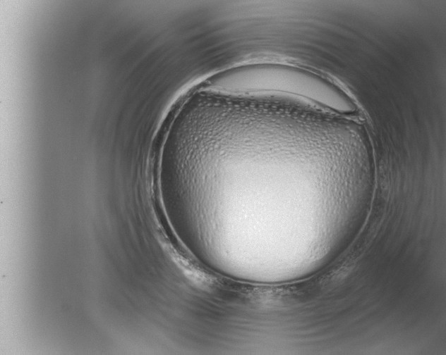 X0000080130987200612302031