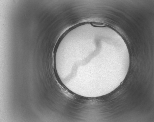 X0000080130988200612302031