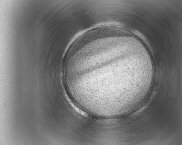 X0000080130989200612302031