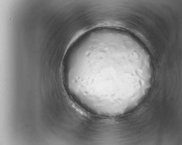 X0000080130990200612302031