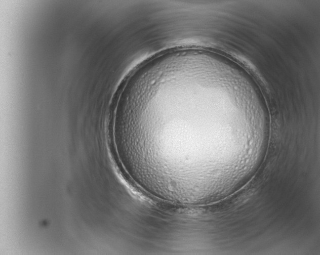 X0000080130991200612302031