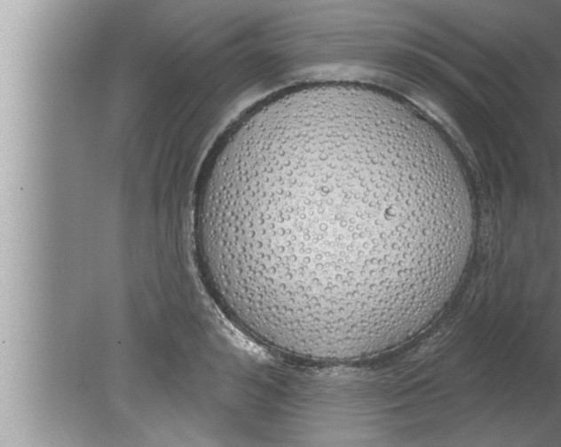 X0000080130992200612302031