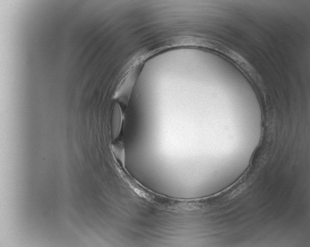 X0000080130993200612302031