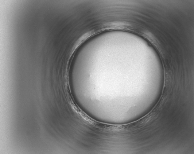 X0000080130994200612302031