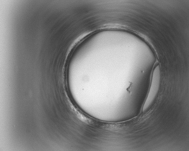 X0000080130995200612302031