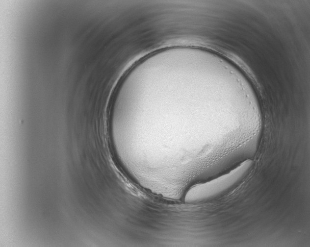 X0000080130996200612302031