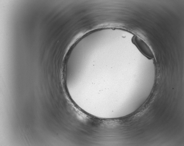 X0000080130997200612302031