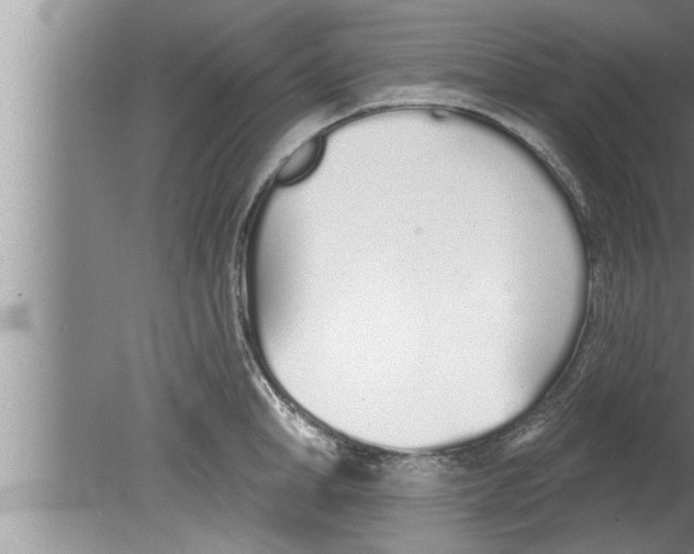 X0000080130998200612302031