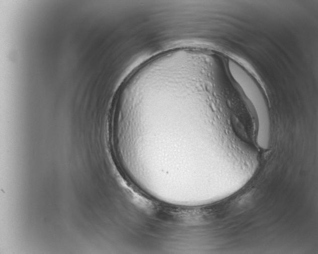 X0000080130999200612302031