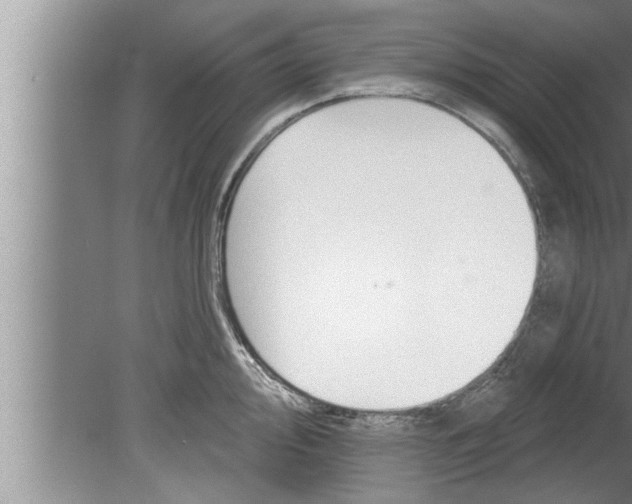 X0000080131000200612302031