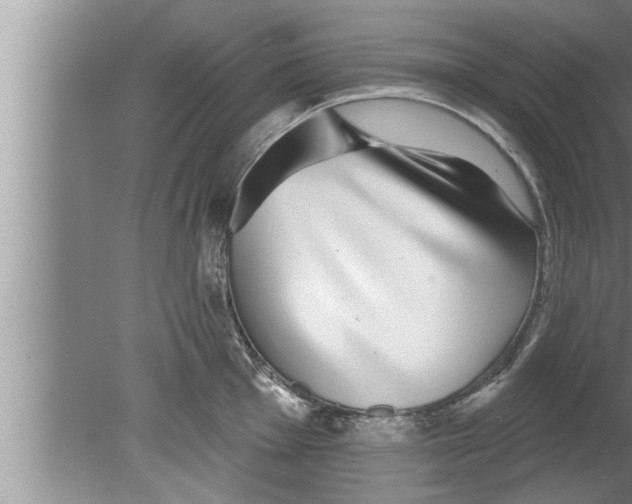 X0000080131001200612302031