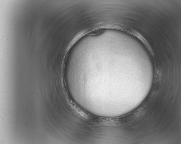 X0000080131002200612302031