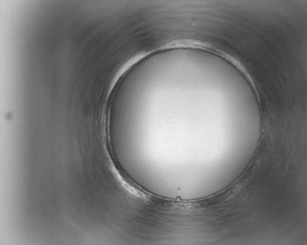 X0000080131003200612302031