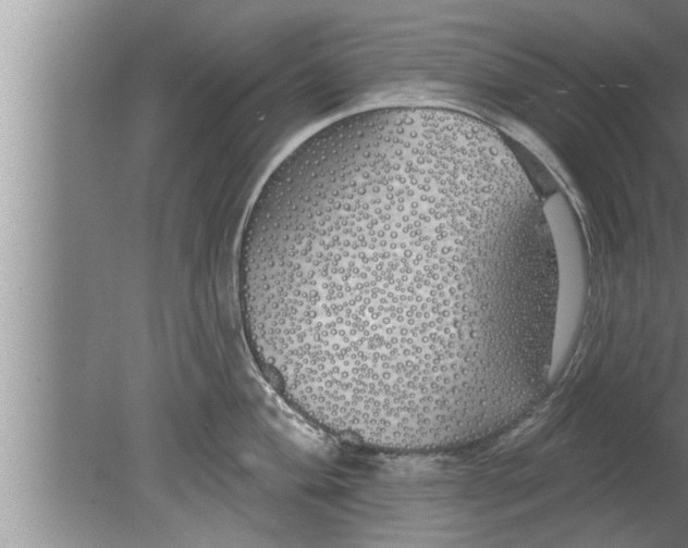 X0000080131004200612302031