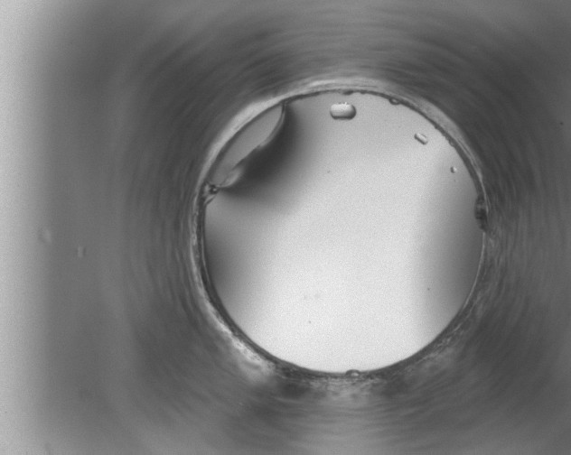 X0000080131005200612302031