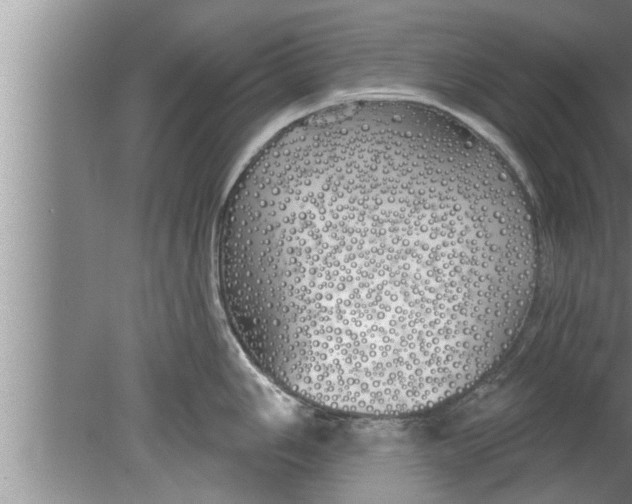 X0000080131006200612302031