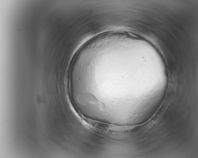 X0000080131007200612302031