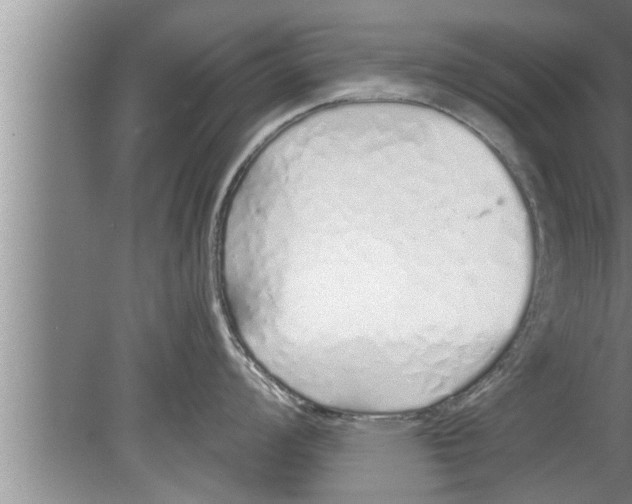 X0000080131008200612302031