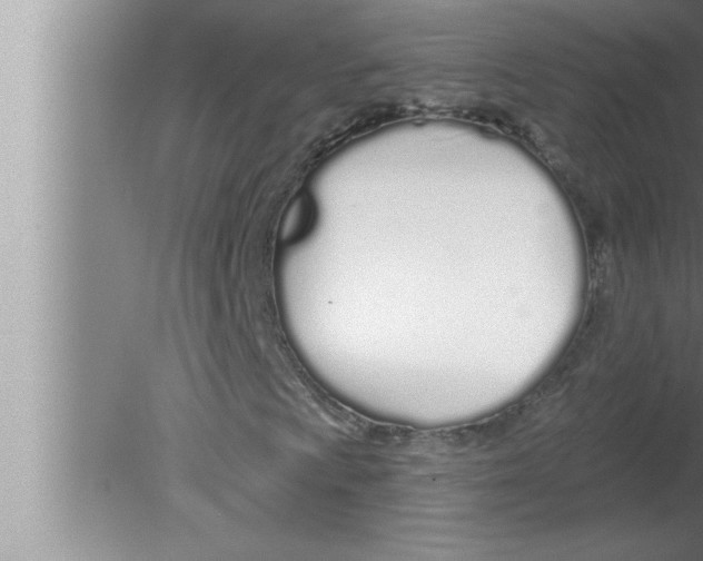 X0000080131009200612302030