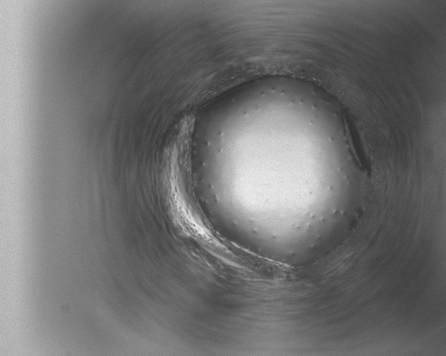 X0000080131010200612302030