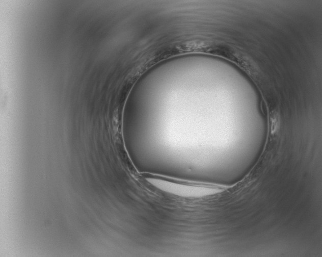 X0000080131011200612302030