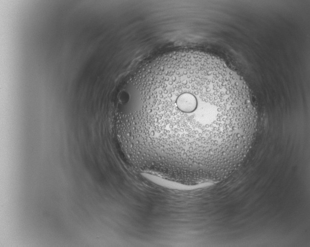 X0000080131012200612302030