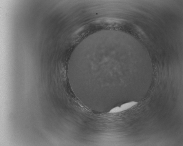 X0000080131013200612302030