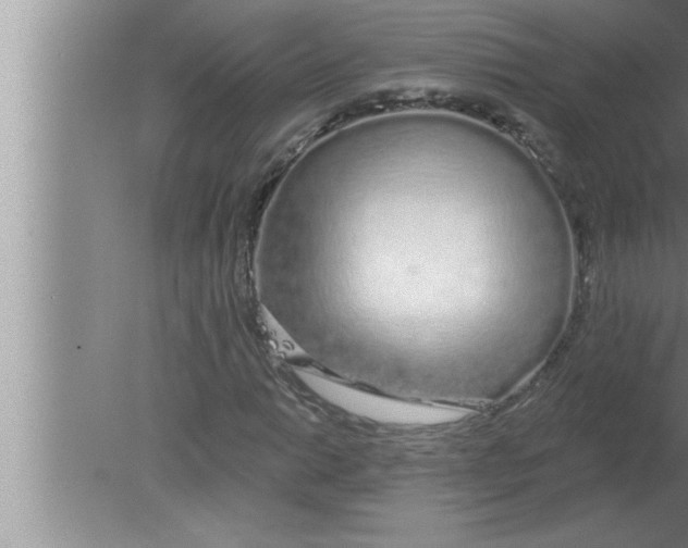 X0000080131014200612302030