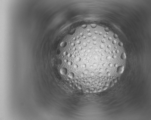 X0000080131015200612302030