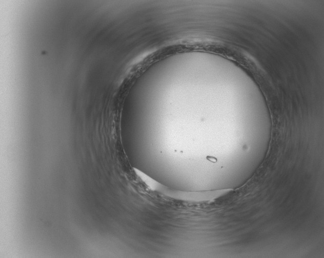 X0000080131016200612302030