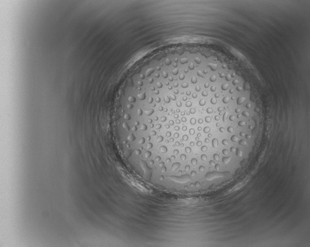 X0000080131017200612302030