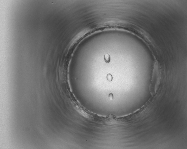 X0000080131018200612302030