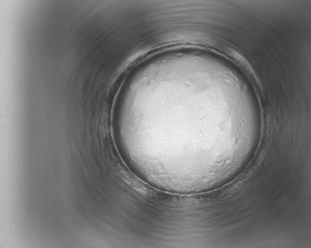 X0000080131019200612302030