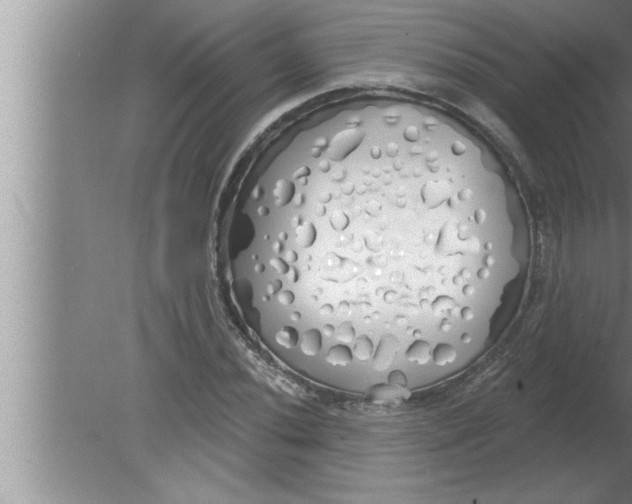 X0000080131020200612302030