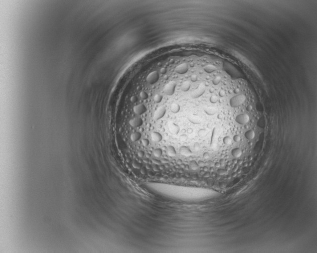 X0000080131021200612302030