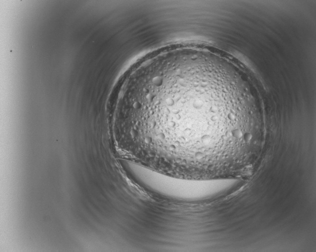 X0000080131022200612302030