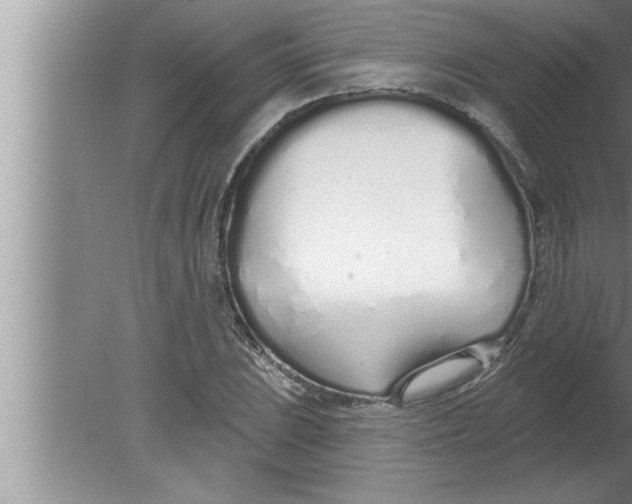 X0000080131023200612302030