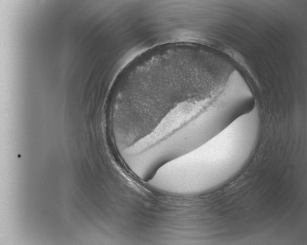 X0000080131024200612302030