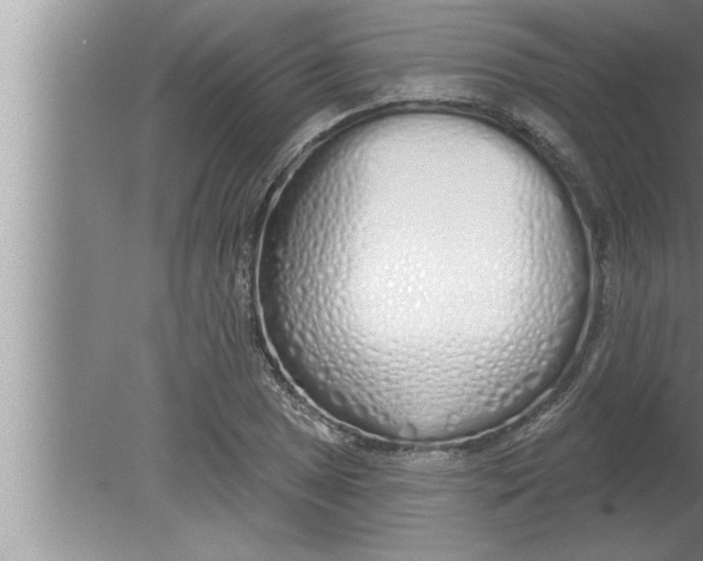 X0000080131025200612302030