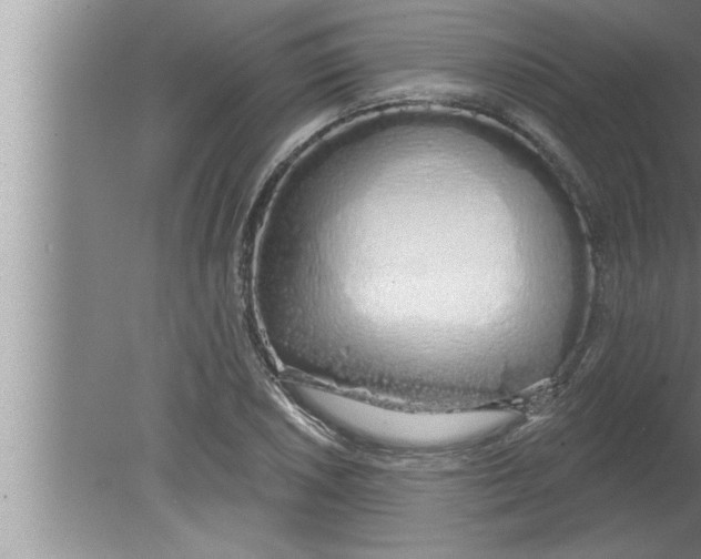 X0000080131026200612302030