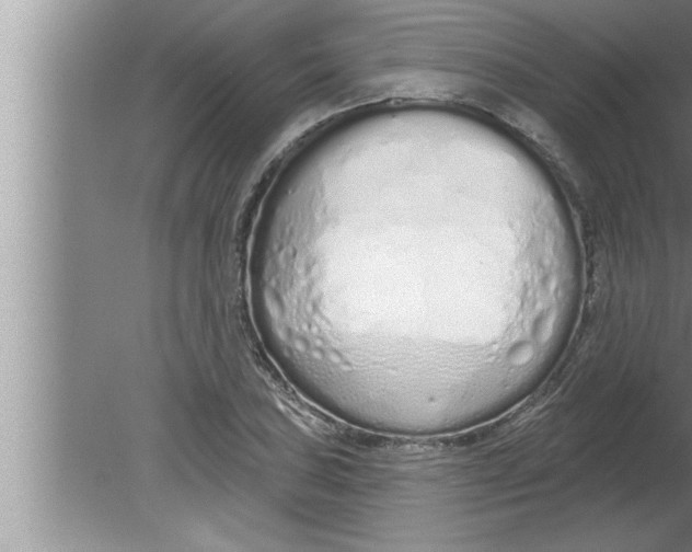 X0000080131027200612302030