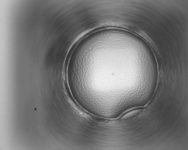 X0000080131028200612302031